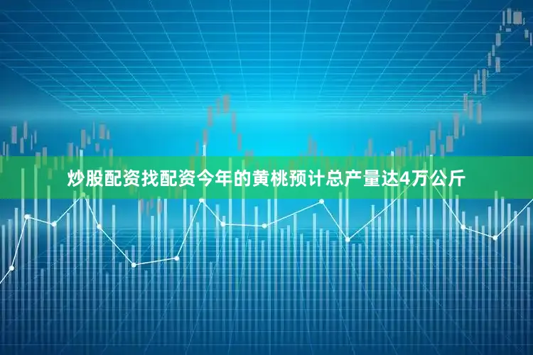炒股配资找配资今年的黄桃预计总产量达4万公斤