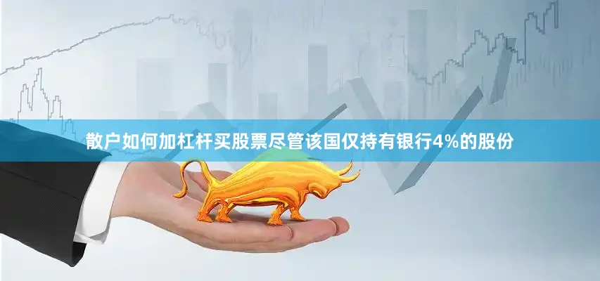 散户如何加杠杆买股票尽管该国仅持有银行4%的股份