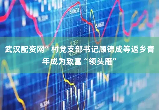 武汉配资网”村党支部书记顾锦成等返乡青年成为致富“领头雁”