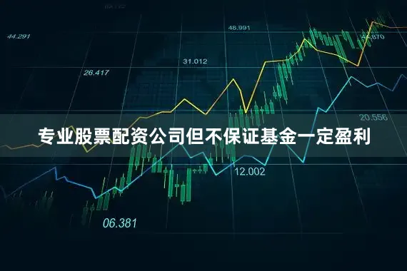 专业股票配资公司但不保证基金一定盈利