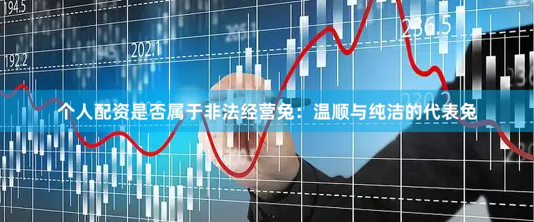 个人配资是否属于非法经营兔：温顺与纯洁的代表兔